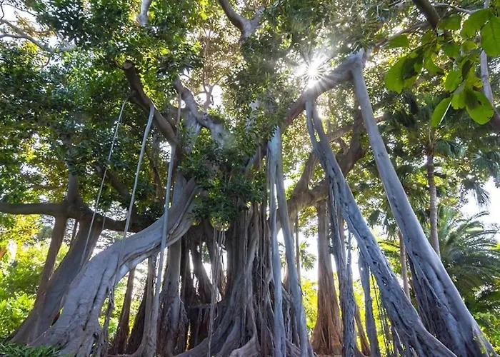 De Lujo Concordia Piscina Climatizada Y Excelentes Vistas וילה פוארטו דה לה קרוז